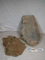 藏品(護胸器具)的圖片